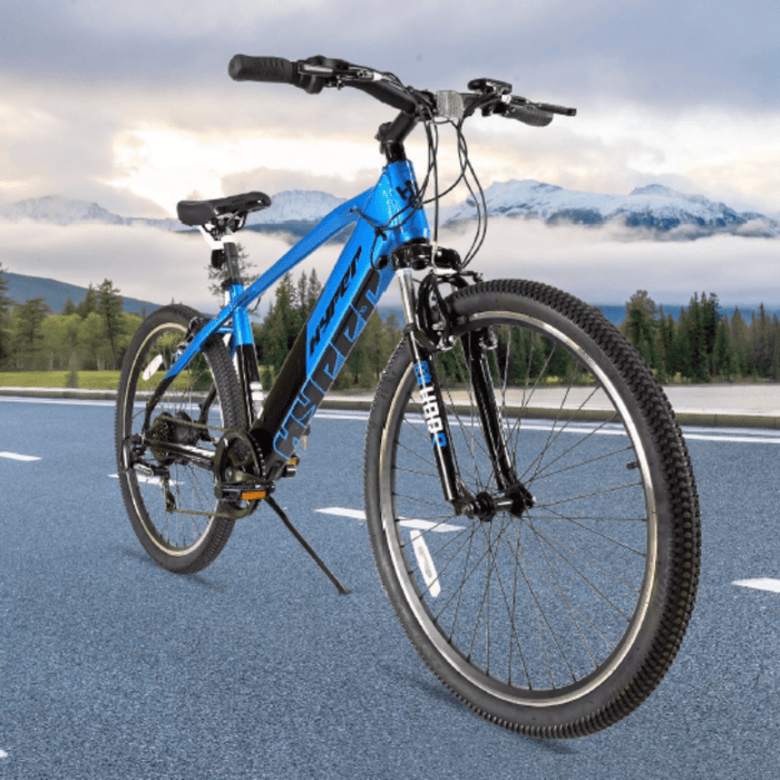 BAOLUJEI – DS2036 Electric Power Bicycle