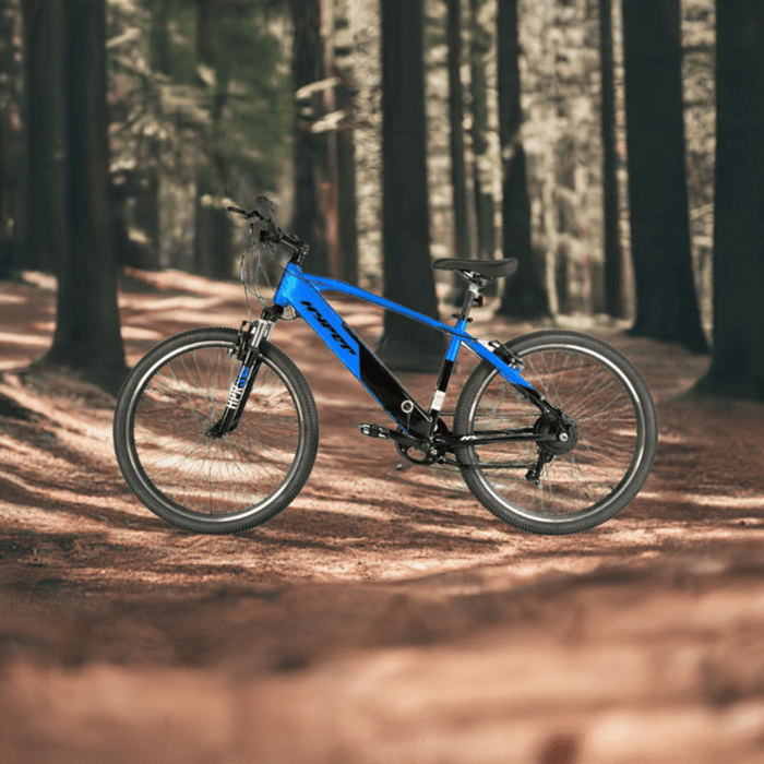 BAOLUJEI – DS2036 Electric Power Bicycle