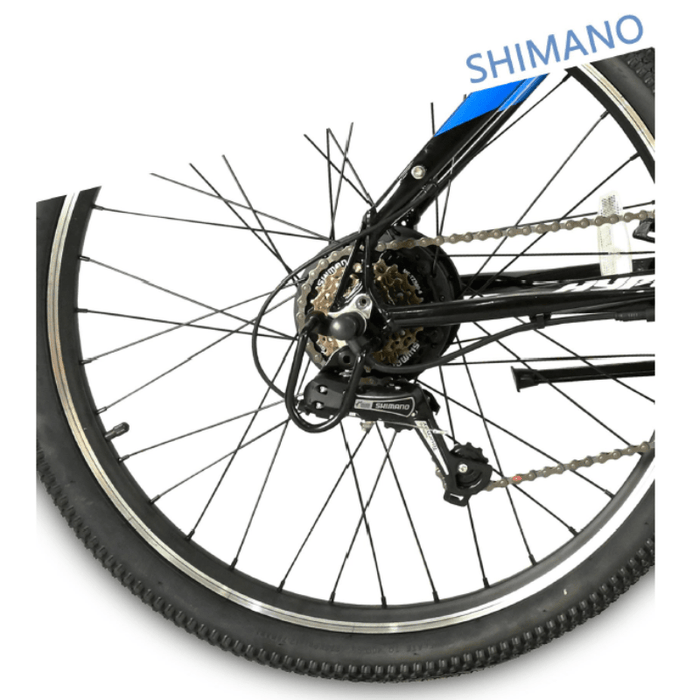 BAOLUJEI – DS2036 Electric Power Bicycle